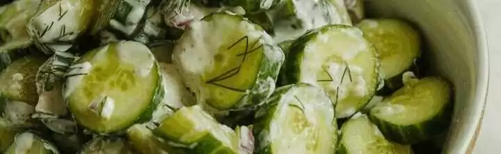 Bayerischer Gurkensalat traditionell