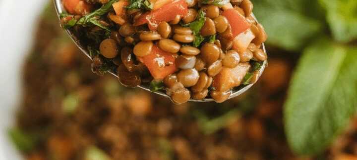 Orientalischer Linsensalat mit frischer Minze und Kreuzkümmel