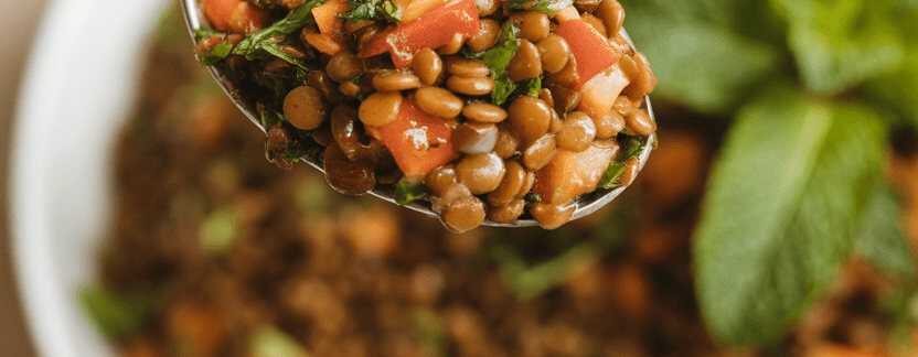 Orientalischer Linsensalat mit frischer Minze und Kreuzkümmel