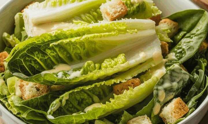Römersalat mit leichtem Zitronendressing
