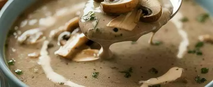 Ultracremige Suppe in 20 Minuten mit 500 g Champignons!